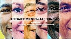 CONVOCATORIA CONSULTORES EXPERTOS